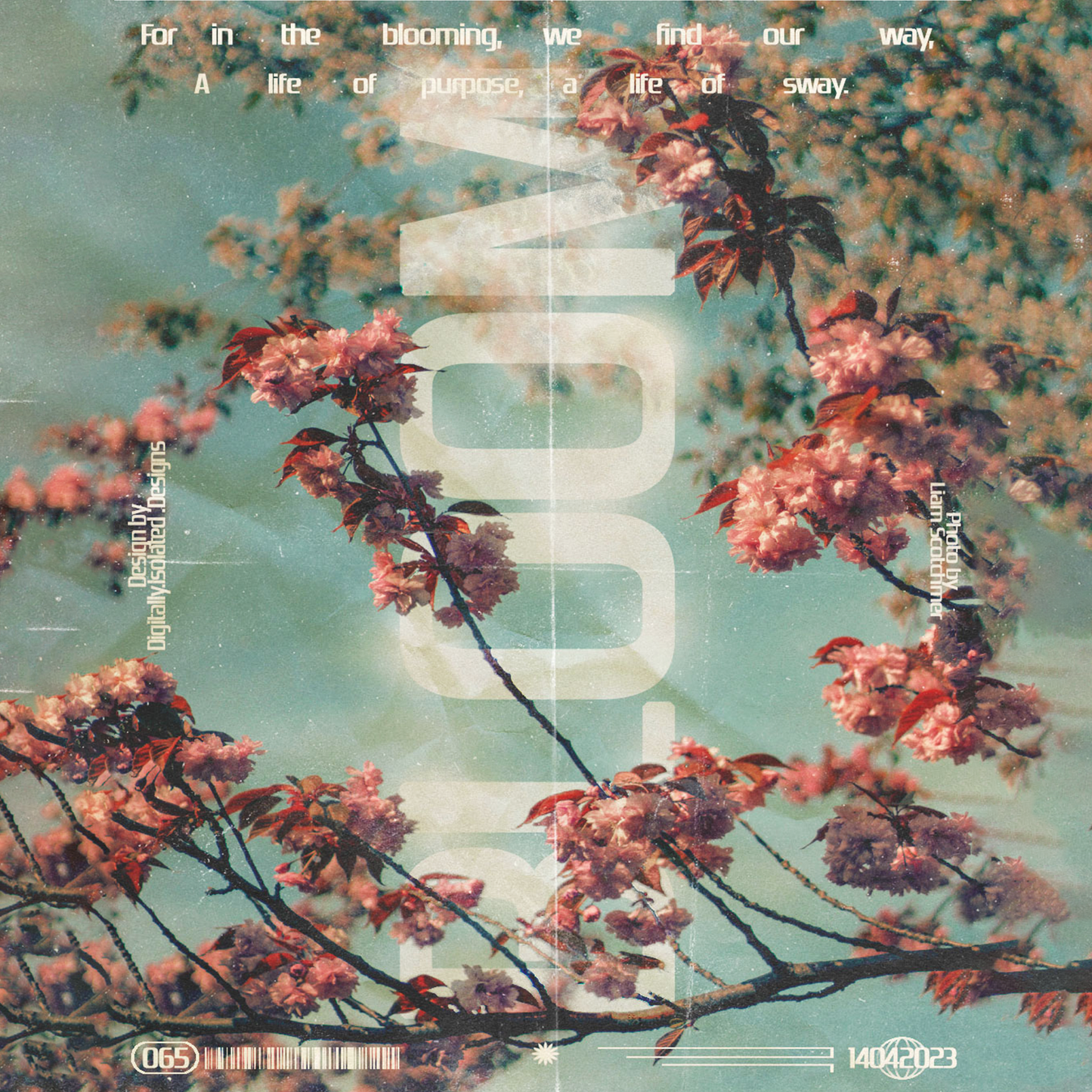 BLOOM